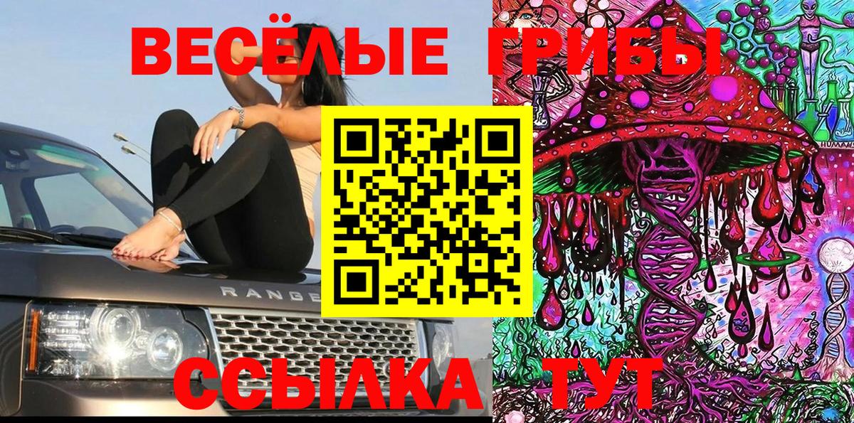 где купить   Вход с VPN  Дюртюли  Псилоцибиновые грибы мицелий 